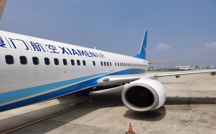 空运宠物活体(图4)